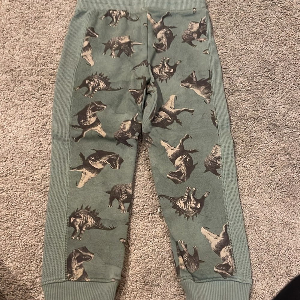 Dinosaur sweatpants and hoodie - Picture 5 of 8